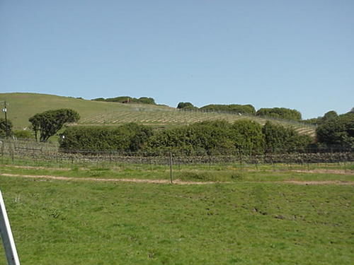 Point Reyes Vineyard Inn 加利福尼亚城 外观 照片