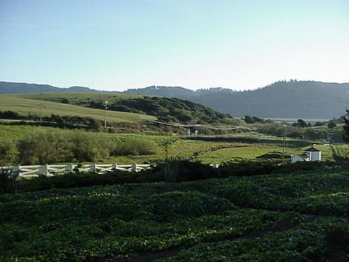 Point Reyes Vineyard Inn 加利福尼亚城 外观 照片