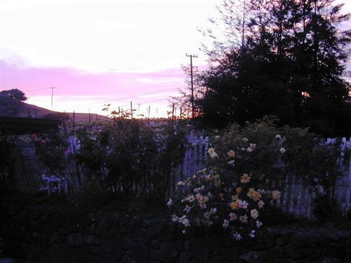 Point Reyes Vineyard Inn 加利福尼亚城 外观 照片