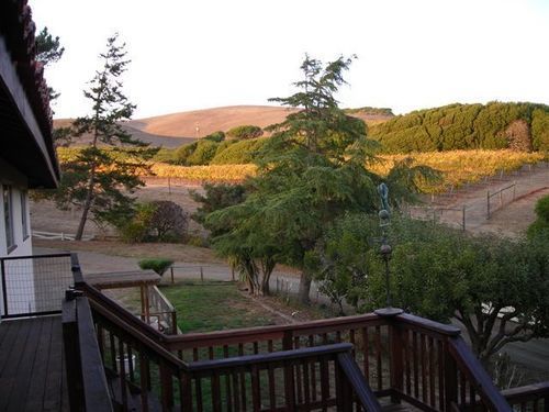 Point Reyes Vineyard Inn 加利福尼亚城 外观 照片